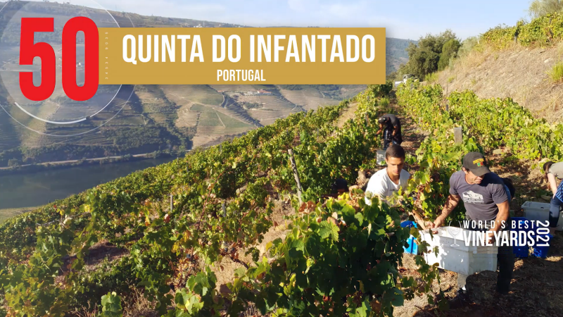 Quinta do Infantado – 2021 World’s Best Vineyards #50